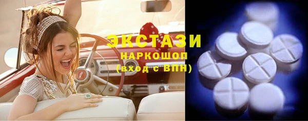 хмурый Алексин