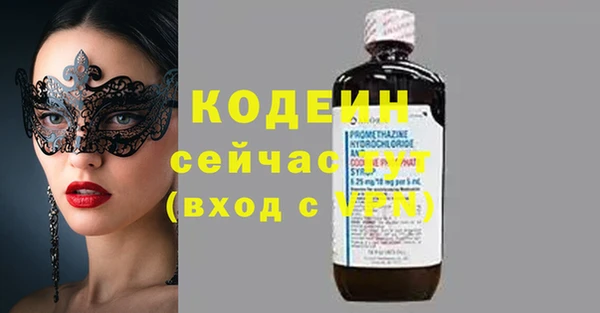 хмурый Алексин