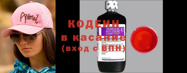 хмурый Алексин