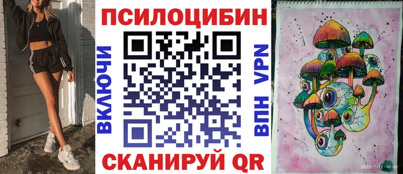 купить наркоту  Ленинск  Псилоцибиновые грибы мицелий 